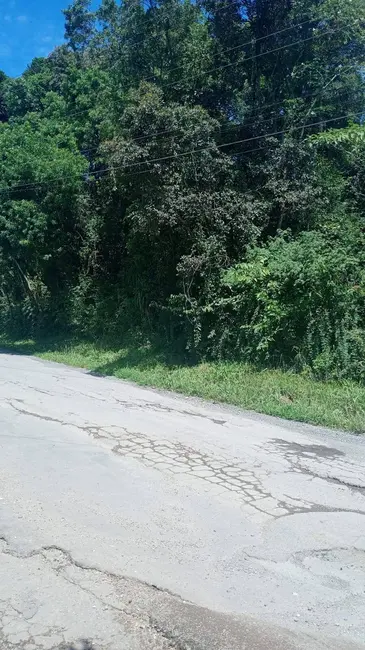 Foto 5 de Chácara à venda, 44711m2 em Itajacuru, Colombo - PR