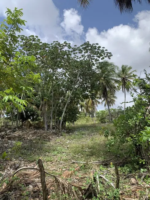Foto 8 de Terreno / Lote à venda, 600m2 em Pium (Distrito Litoral), Parnamirim - RN
