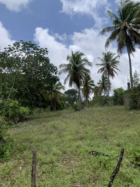 Foto 5 de Terreno / Lote à venda, 600m2 em Pium (Distrito Litoral), Parnamirim - RN