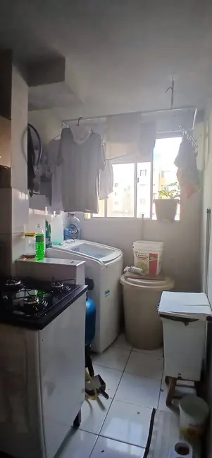 Foto 7 de Apartamento com 2 quartos à venda, 43m2 em Rio Pequeno, Sao Jose Dos Pinhais - PR
