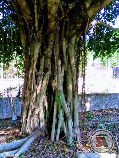 Chácara com 3 quartos à venda, 240m2 em Jardim Santana, Porto Velho - RO - imagem 5 Foto 5 de Chácara com 3 quartos à venda, 240m2 em Jardim Santana, Porto Velho - RO