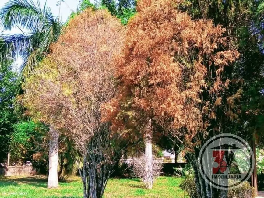 Chácara com 3 quartos à venda, 240m2 em Jardim Santana, Porto Velho - RO - imagem 8 Foto 8 de Chácara com 3 quartos à venda, 240m2 em Jardim Santana, Porto Velho - RO