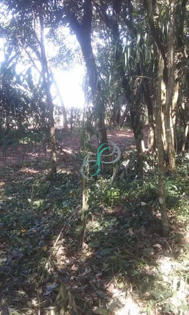 Foto 6 de Sítio / Rancho com 8 quartos à venda, 800m2 em Monte Alegre, Vinhedo - SP
