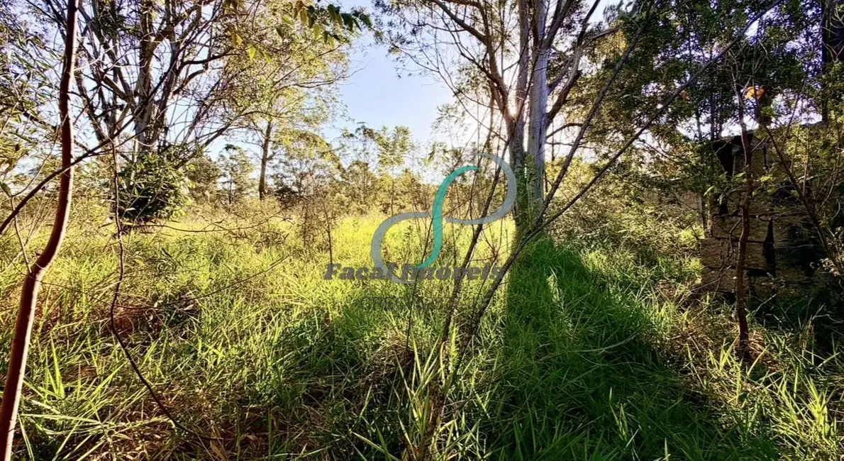 Foto 8 de Terreno / Lote à venda, 5006m2 em Sítio Recreio dos Cafezais, Valinhos - SP