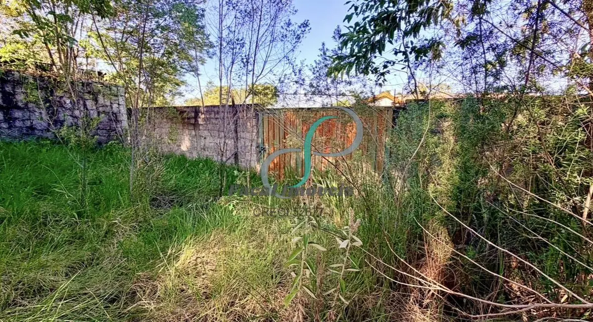 Foto 4 de Terreno / Lote à venda, 5006m2 em Sítio Recreio dos Cafezais, Valinhos - SP