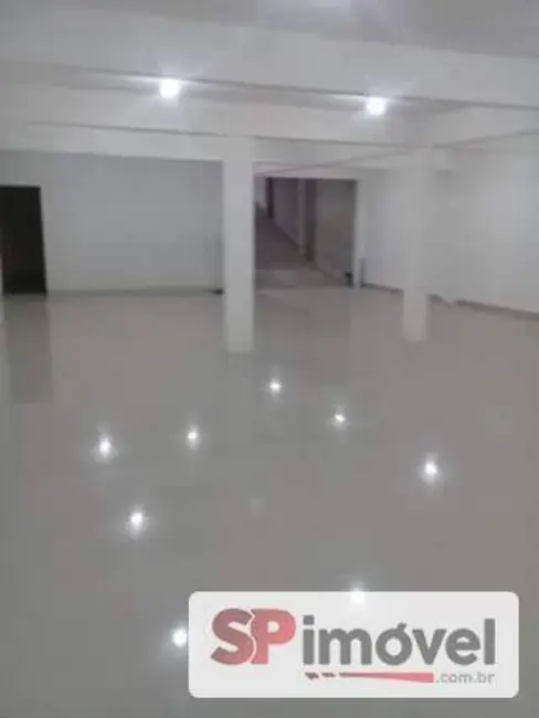Foto 5 de Sala Comercial para alugar, 220m2 em Vila Marieta, São Paulo - SP