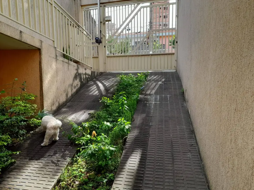 Sobrado com 3 quartos à venda, 120m2 em Vila Matilde, São Paulo - SP - imagem 6 Foto 6 de Sobrado com 3 quartos à venda, 120m2 em Vila Matilde, São Paulo - SP