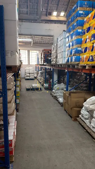 Foto 5 de Sala Comercial à venda, 1766m2 em Mooca, São Paulo - SP