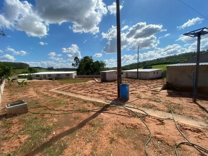 Foto 8 de Chácara à venda em Altonia - PR