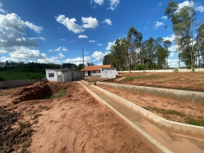 Foto 2 de Chácara à venda em Altonia - PR