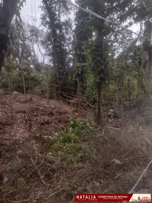 Foto 4 de Terreno / Lote à venda, 280m2 em Itanhaem - SP