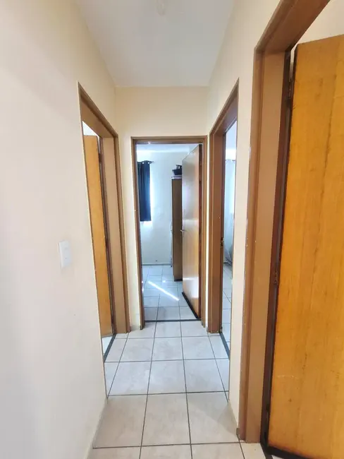 Foto 4 de Apartamento com 3 quartos à venda, 60m2 em Santa Amélia, Belo Horizonte - MG