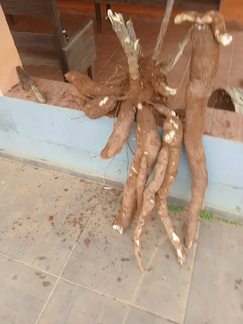 Foto 37 de Chácara à venda em Jaboticatubas - MG
