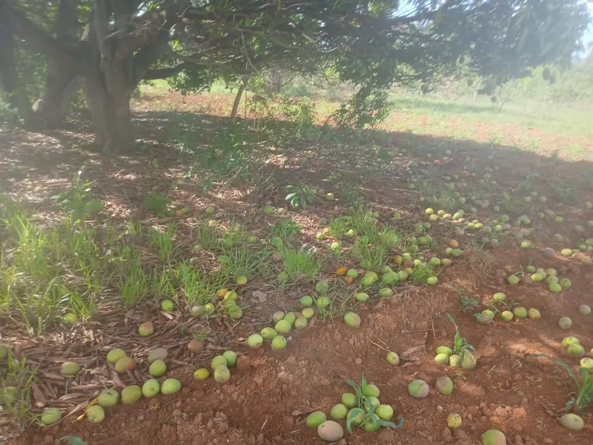 Foto 40 de Chácara à venda em Jaboticatubas - MG