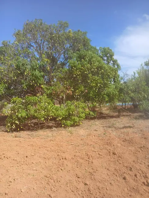Foto 32 de Chácara à venda em Jaboticatubas - MG
