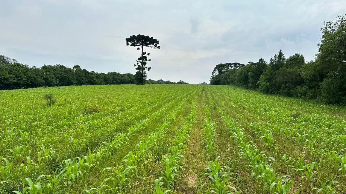 Foto 1 de Terreno / Lote à venda, 29700m2 em Umbará, Curitiba - PR