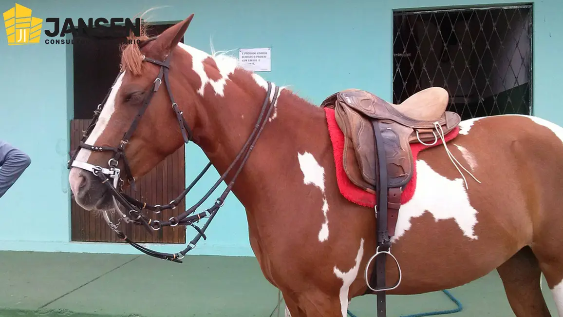 Foto 35 de Casa com 3 quartos à venda, 750m2 em Sao Miguel De Taipu - PB