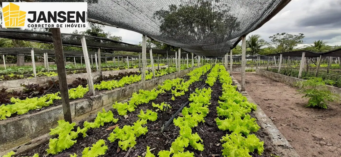Foto 32 de Casa com 3 quartos à venda, 600m2 em Sao Miguel De Taipu - PB