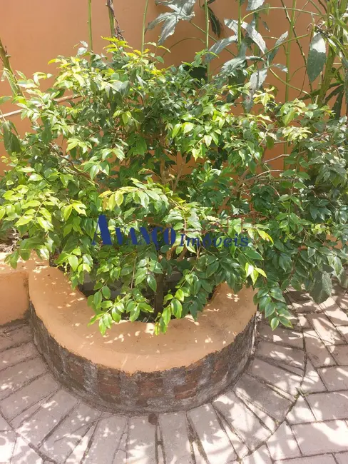 Casa com 1 quarto à venda, 300m2 em Roseira, Jundiai - SP - imagem 9 Foto 9 de Casa com 1 quarto à venda, 300m2 em Roseira, Jundiai - SP