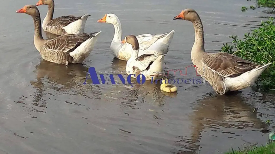 Foto 9 de Chácara com 3 quartos à venda, 3885m2 em Parque Piracema, Atibaia - SP