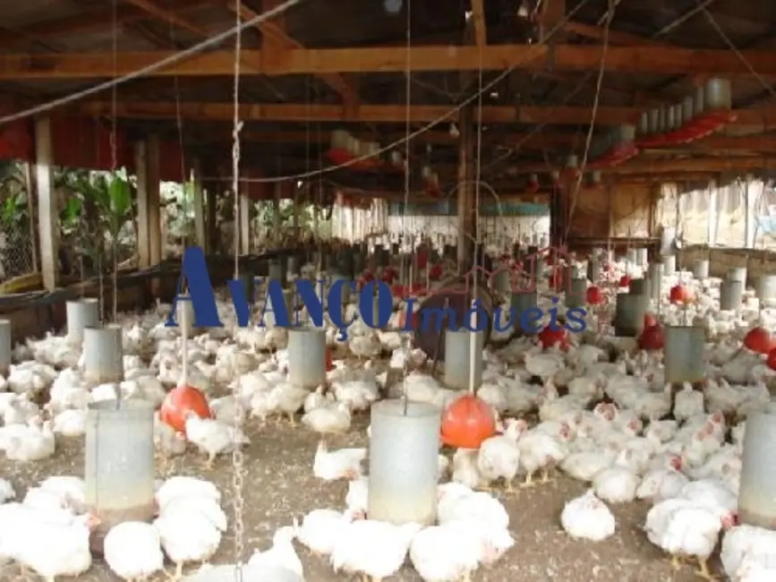 Foto 6 de Chácara com 3 quartos à venda, 24200m2 em Cabreuva - SP