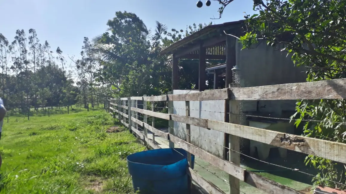 Foto 8 de Sítio / Rancho com 2 quartos à venda, 7800m2 em Retiro, Sao Pedro Da Aldeia - RJ