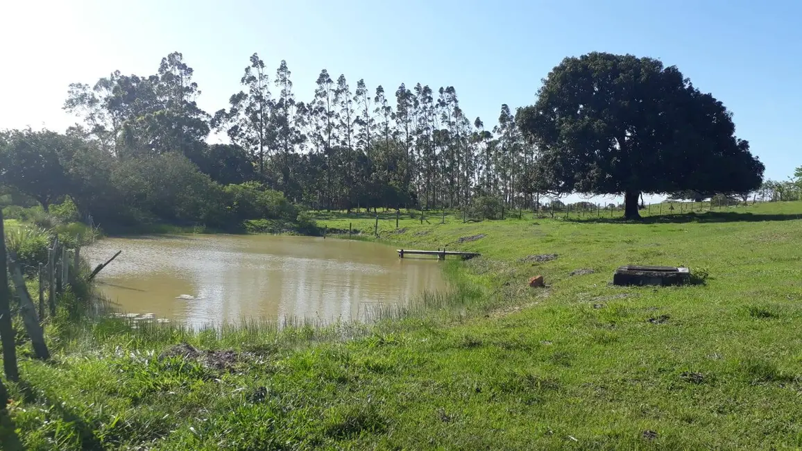 Foto 9 de Sítio / Rancho com 2 quartos à venda, 7800m2 em Retiro, Sao Pedro Da Aldeia - RJ
