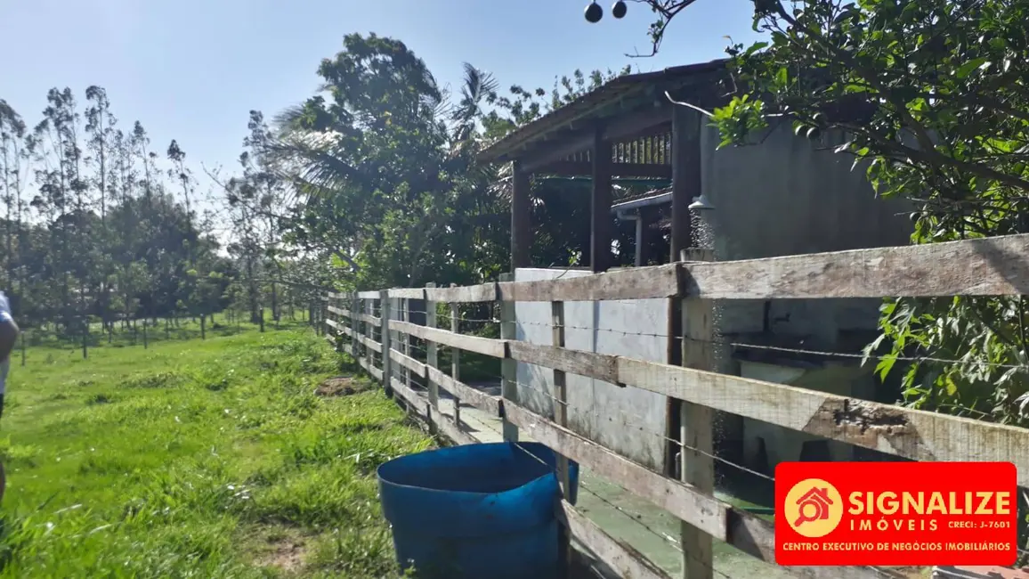 Sítio / Rancho com 2 quartos à venda, 7800m2 em Retiro, Sao Pedro Da Aldeia - RJ - imagem 8 Foto 8 de Sítio / Rancho com 2 quartos à venda, 7800m2 em Retiro, Sao Pedro Da Aldeia - RJ