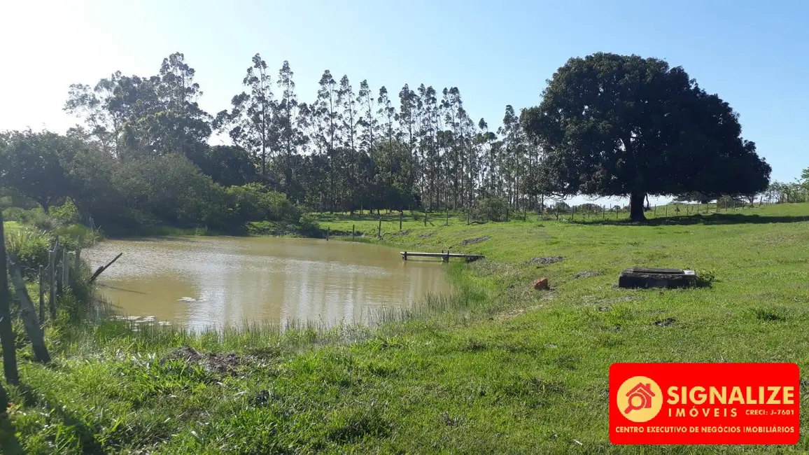 Sítio / Rancho com 2 quartos à venda, 7800m2 em Retiro, Sao Pedro Da Aldeia - RJ - imagem 9 Foto 9 de Sítio / Rancho com 2 quartos à venda, 7800m2 em Retiro, Sao Pedro Da Aldeia - RJ