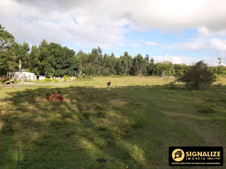 Foto 7 de Sítio / Rancho com 4 quartos à venda, 120000m2 em Aquarius (Tamoios), Cabo Frio - RJ