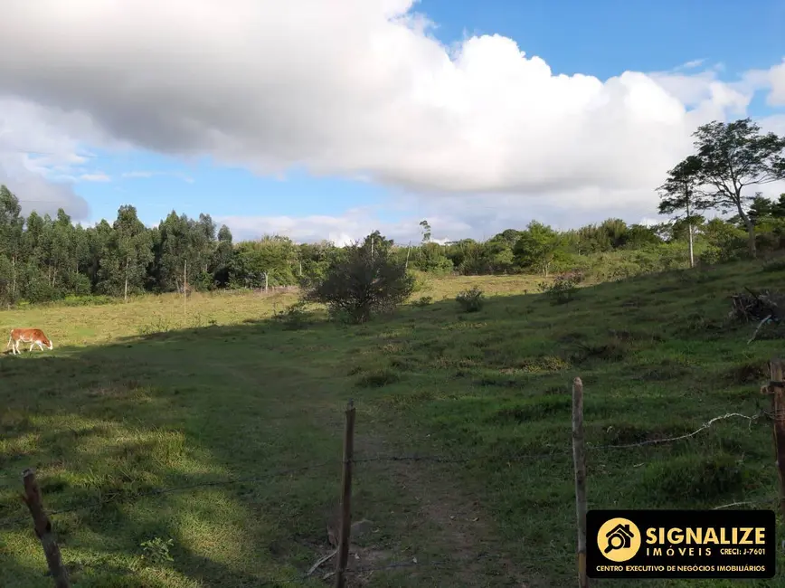 Foto 8 de Sítio / Rancho com 4 quartos à venda, 120000m2 em Aquarius (Tamoios), Cabo Frio - RJ