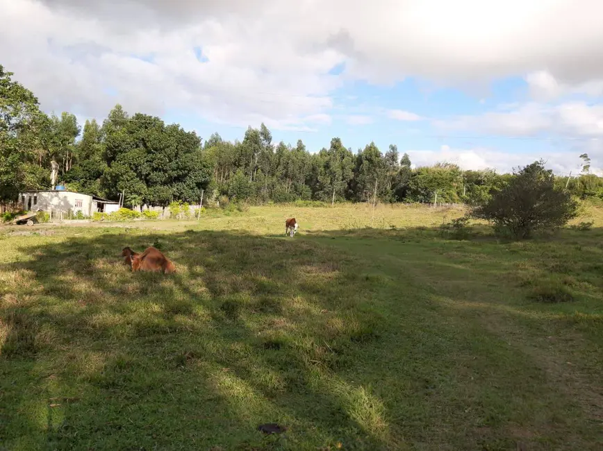 Foto 7 de Sítio / Rancho com 4 quartos à venda, 120000m2 em Aquarius (Tamoios), Cabo Frio - RJ