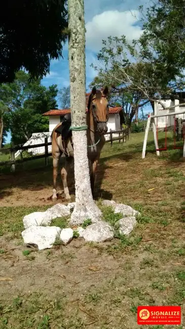Sítio / Rancho com 3 quartos à venda, 240m2 em Flexeira, Sao Pedro Da Aldeia - RJ - imagem 6 Foto 6 de Sítio / Rancho com 3 quartos à venda, 240m2 em Flexeira, Sao Pedro Da Aldeia - RJ