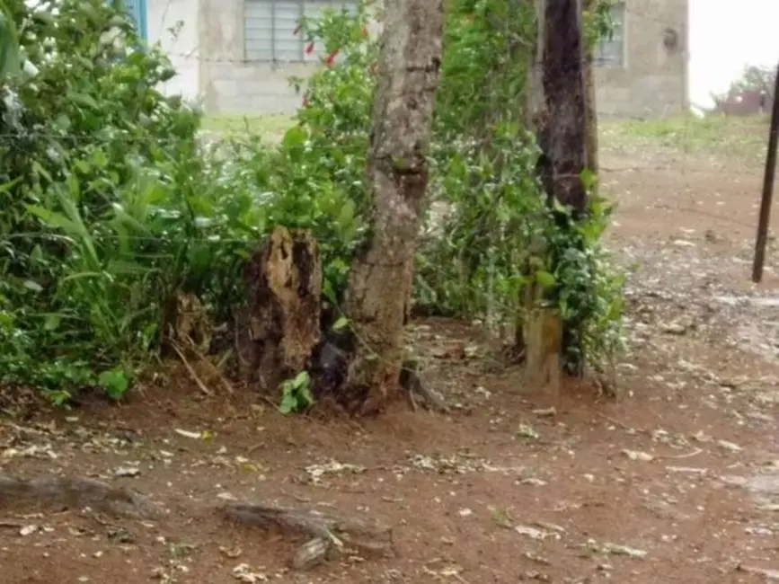 Foto 9 de Terreno / Lote à venda, 15000m2 em Centro, Ibiuna - SP