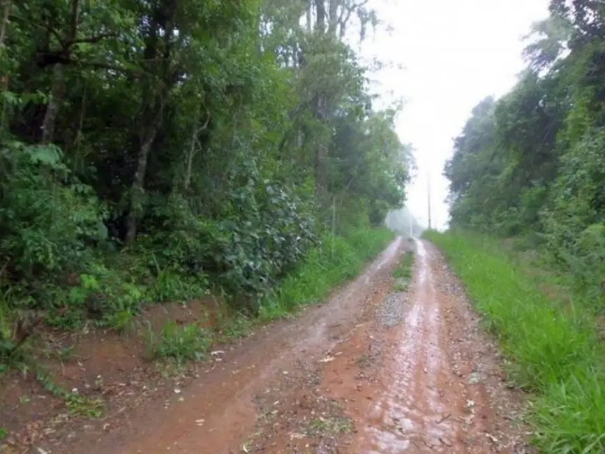 Foto 7 de Terreno / Lote à venda, 15000m2 em Centro, Ibiuna - SP