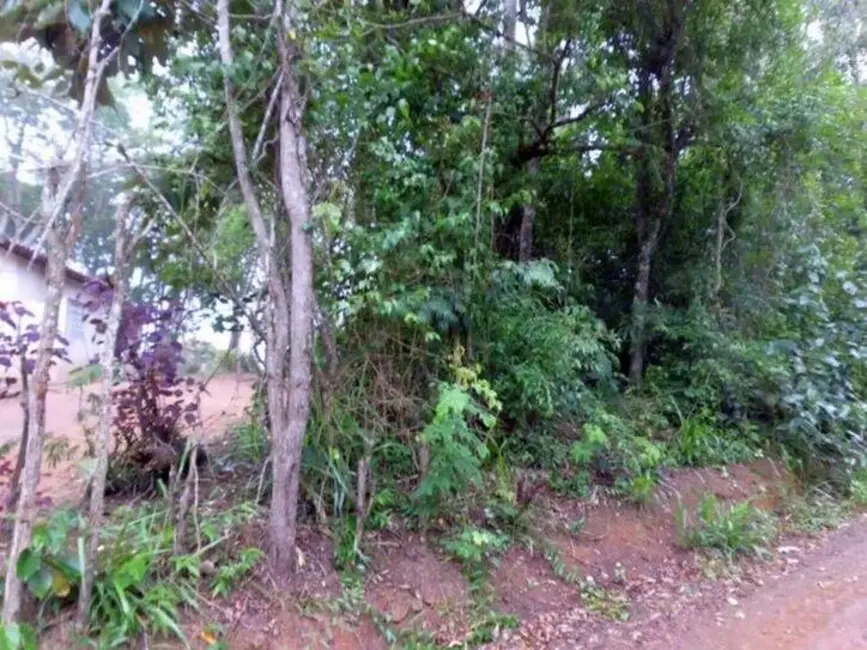 Foto 8 de Terreno / Lote à venda, 15000m2 em Centro, Ibiuna - SP