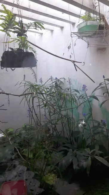 Foto 14 de Casa com 3 quartos à venda, 428m2 em Jardim Consórcio, São Paulo - SP