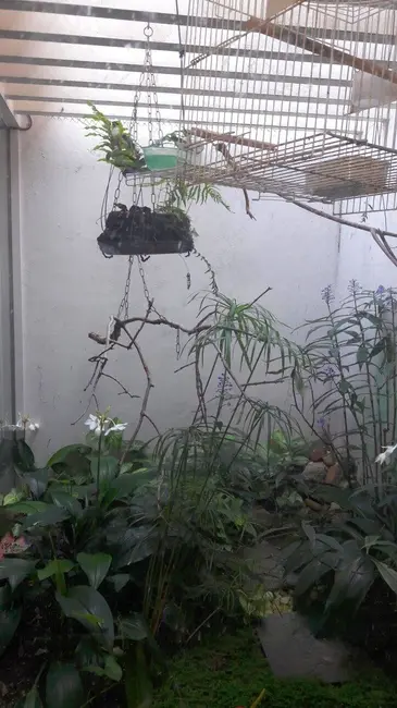 Foto 16 de Casa com 3 quartos à venda, 428m2 em Jardim Consórcio, São Paulo - SP