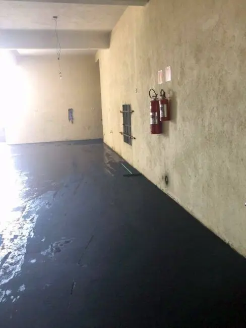 Foto 7 de Armazém / Galpão para alugar, 250m2 em São Paulo - SP