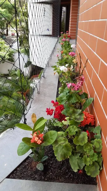 Apartamento com 3 quartos à venda, 105m2 em Vila Andrade, São Paulo - SP - imagem 8 Foto 8 de Apartamento com 3 quartos à venda, 105m2 em Vila Andrade, São Paulo - SP