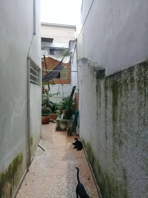 Sobrado com 3 quartos à venda, 225m2 em Vila Paulista, São Paulo - SP - imagem 9 Foto 9 de Sobrado com 3 quartos à venda, 225m2 em Vila Paulista, São Paulo - SP