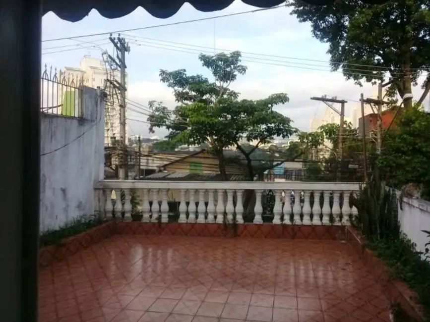 Sobrado com 3 quartos à venda, 225m2 em Vila Paulista, São Paulo - SP - imagem 6 Foto 6 de Sobrado com 3 quartos à venda, 225m2 em Vila Paulista, São Paulo - SP