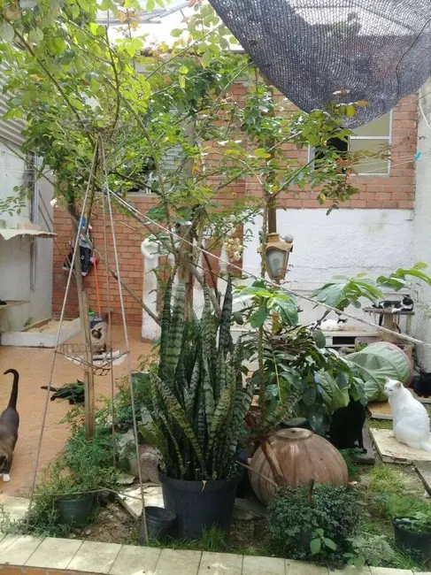 Sobrado com 3 quartos à venda, 225m2 em Vila Paulista, São Paulo - SP - imagem 7 Foto 7 de Sobrado com 3 quartos à venda, 225m2 em Vila Paulista, São Paulo - SP