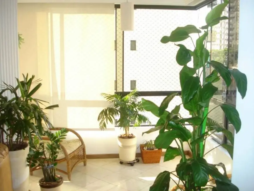 Foto 5 de Apartamento com 4 quartos à venda, 170m2 em Indianópolis, São Paulo - SP