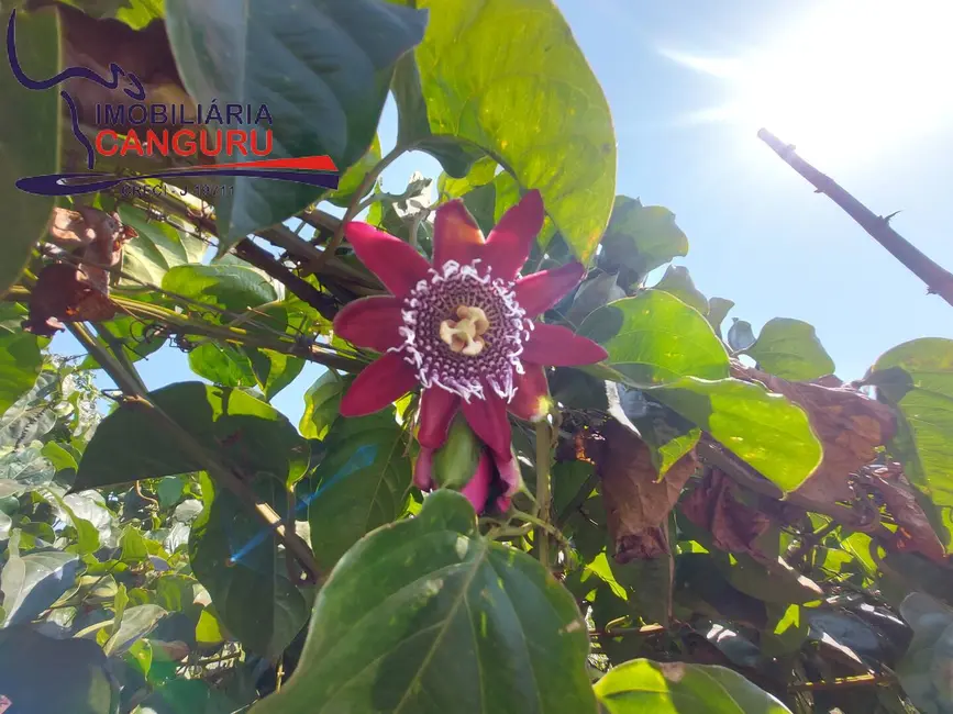 Foto 7 de Chácara com 3 quartos à venda, 48400m2 em Piraju - SP