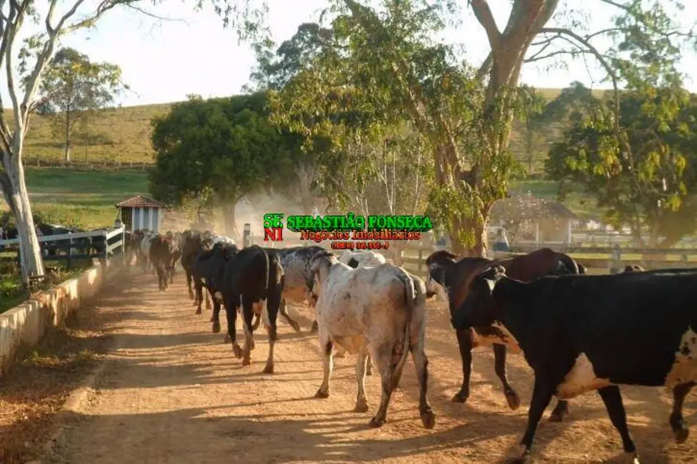 Foto 2 de Fazenda / Haras com 6 quartos à venda, 2242000m2 em Centro, Lorena - SP