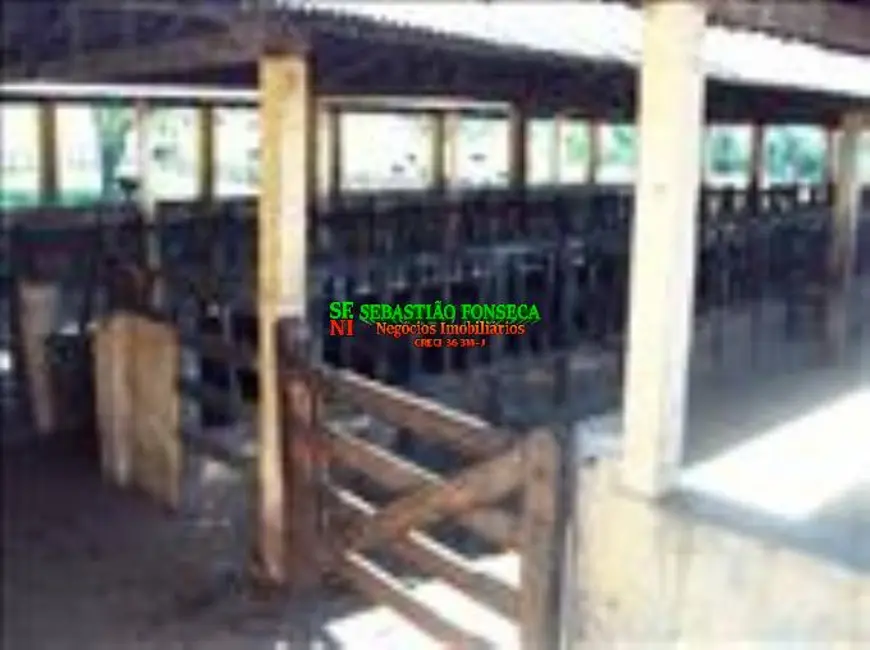 Fazenda / Haras com 4 quartos à venda, 1452000m2 em Centro, Lorena - SP - imagem 7 Foto 7 de Fazenda / Haras com 4 quartos à venda, 1452000m2 em Centro, Lorena - SP