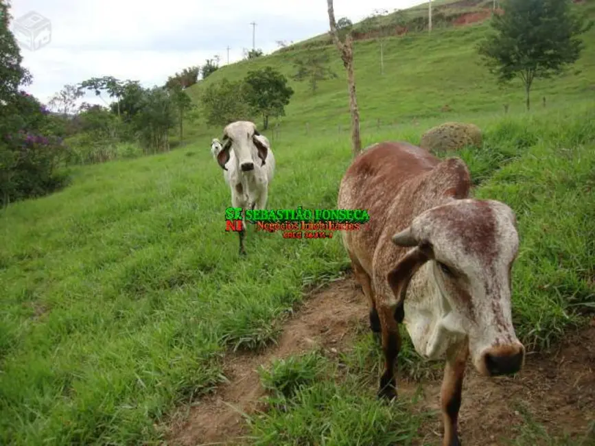 Sítio / Rancho com 2 quartos à venda, 67000m2 em Sao Jose Dos Campos - SP - imagem 3 Foto 3 de Sítio / Rancho com 2 quartos à venda, 67000m2 em Sao Jose Dos Campos - SP