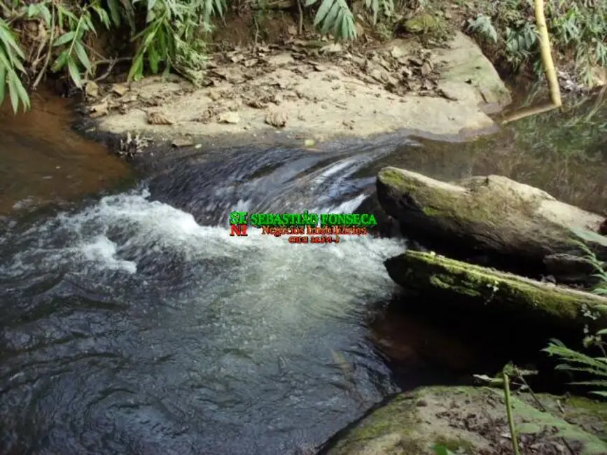Chácara com 5 quartos à venda, 15000m2 em Sao Jose Dos Campos - SP - imagem 4 Foto 4 de Chácara com 5 quartos à venda, 15000m2 em Sao Jose Dos Campos - SP