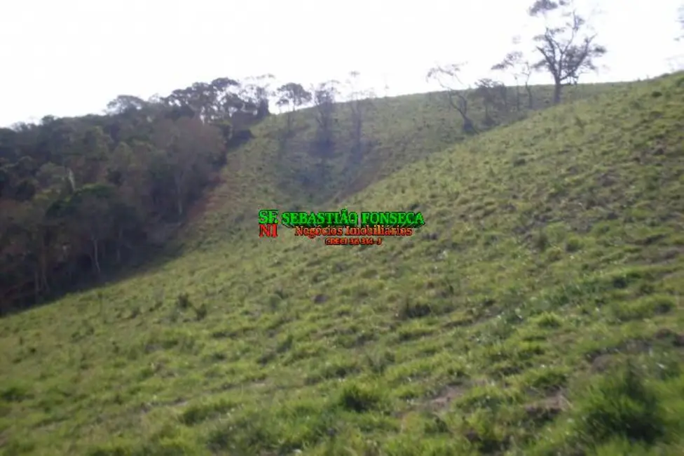 Sítio / Rancho com 3 quartos à venda, 605000m2 em Centro, Cachoeira Paulista - SP - imagem 4 Foto 4 de Sítio / Rancho com 3 quartos à venda, 605000m2 em Centro, Cachoeira Paulista - SP